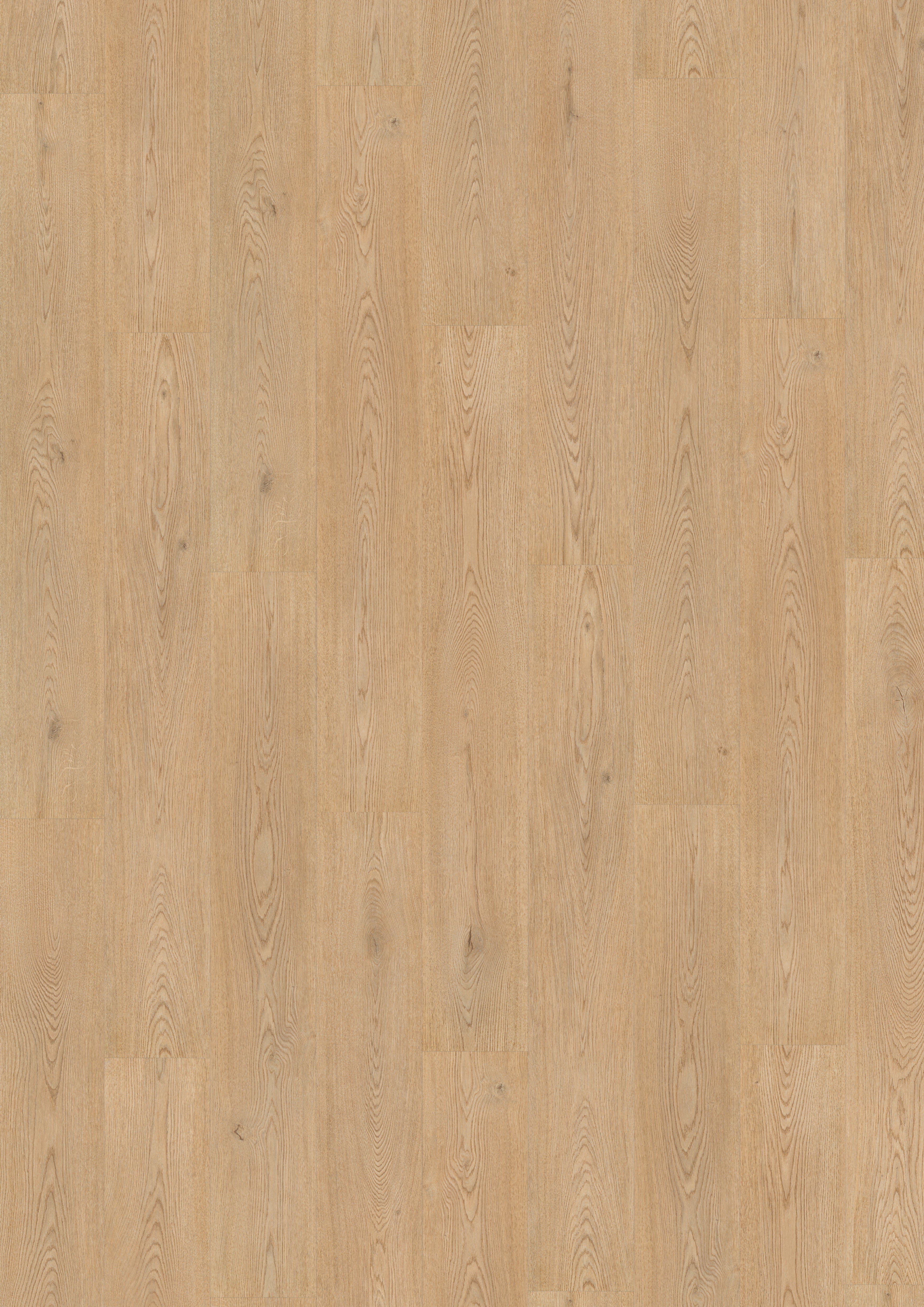 Grandeur 12 Collection Fado Gavia 7.9" X 52 3/8" X 12 mm