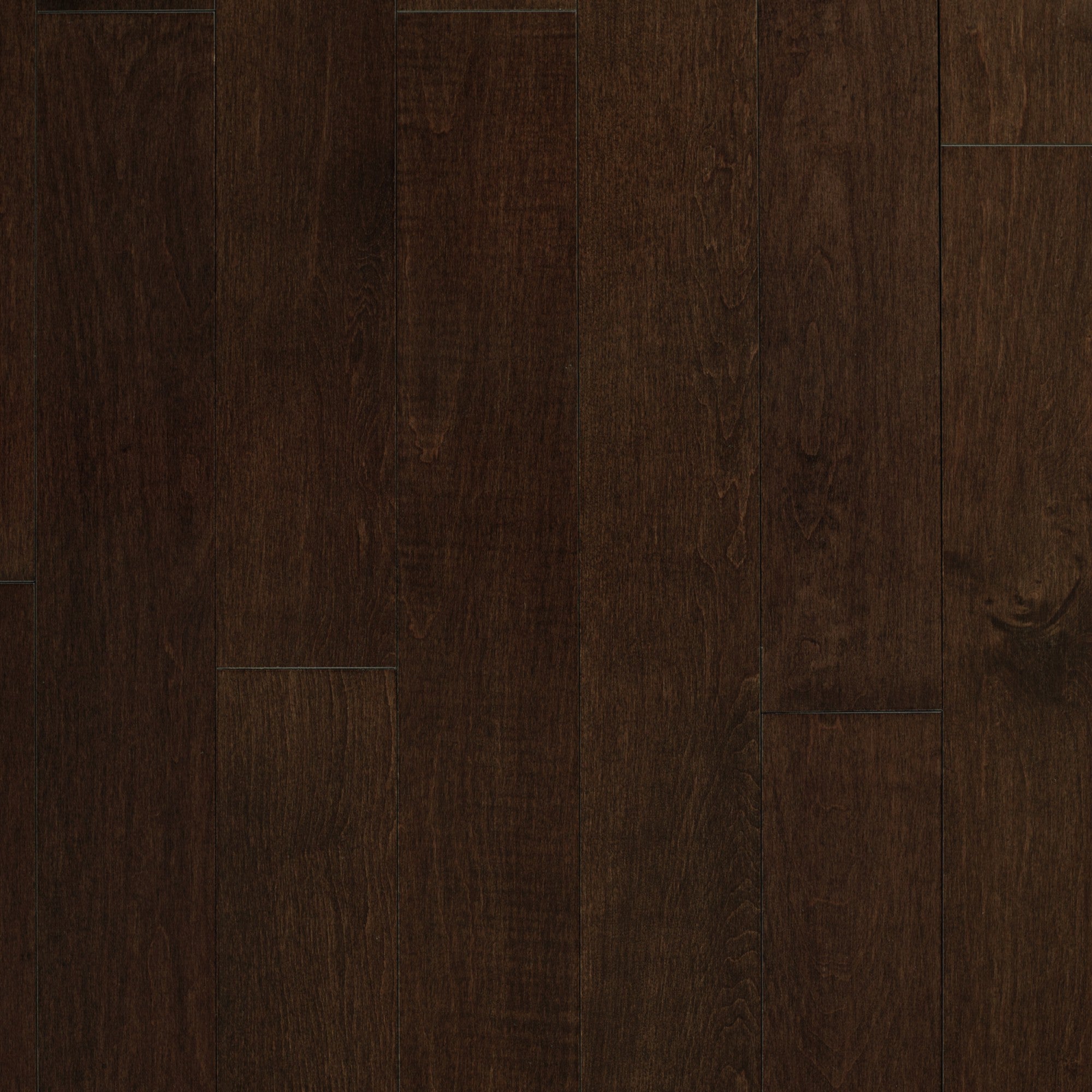 Vintage Northern Solid Sawn Maple Rembrandt Smooth 6 1/2" x 3/4" Pearl Low Sheen Character Grade