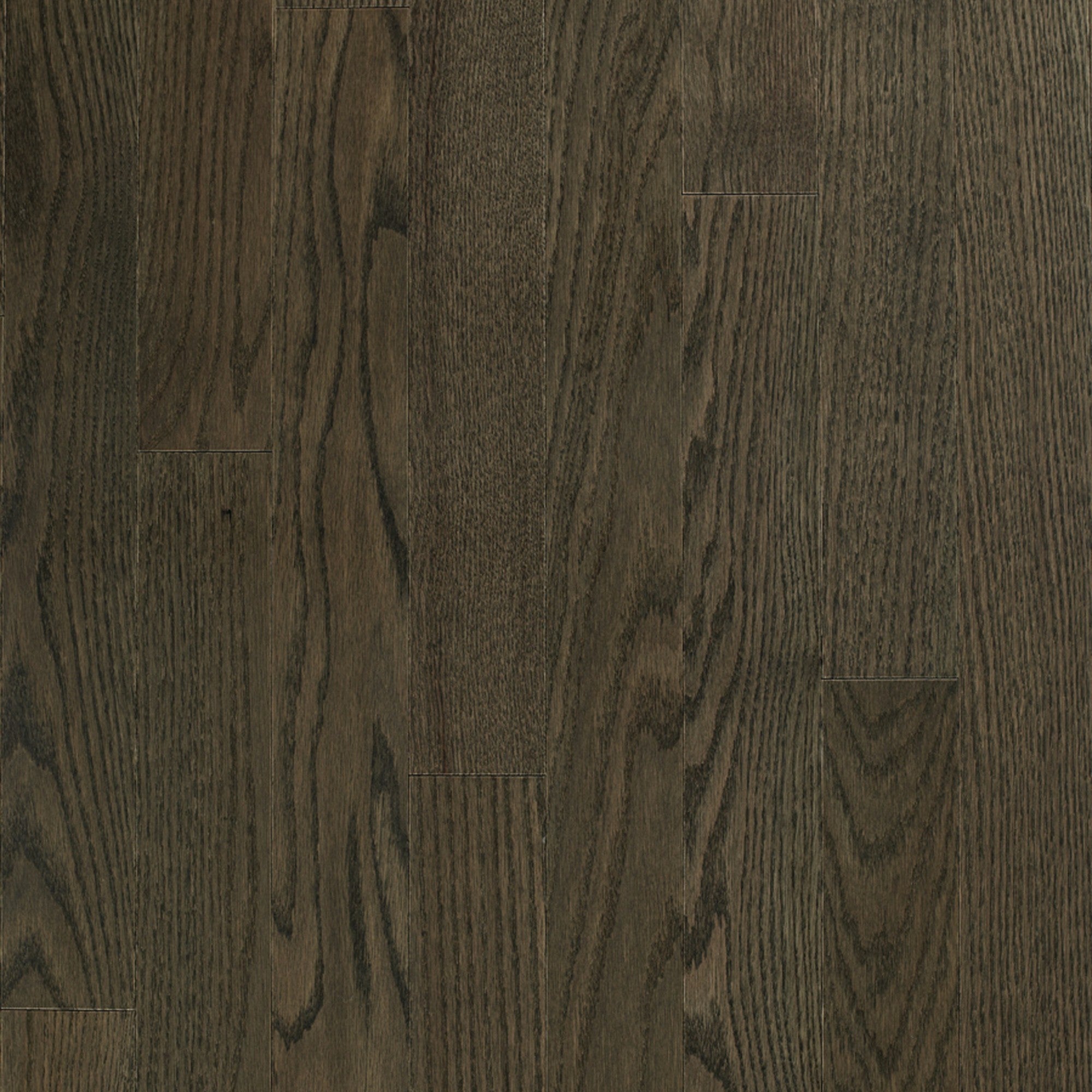 Vintage Northern Solid Sawn Red Oak Gryphon Smooth 6 1/2" x 3/4" Pearl Low Sheen Character Grade