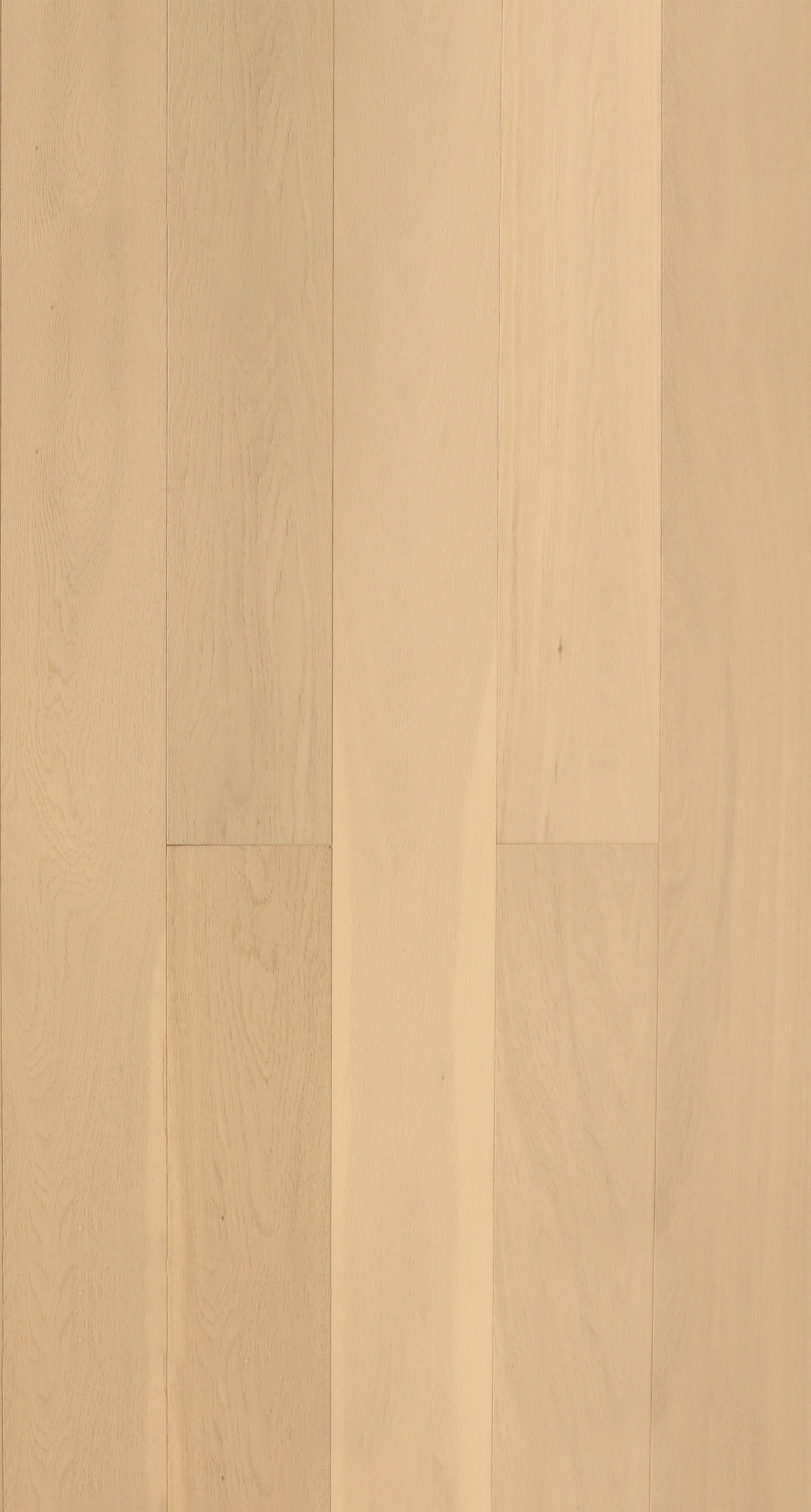 Grandeur Scandinavia Euro Oak White Island 6 1/2" x 3/4" AB Grade (18mm)