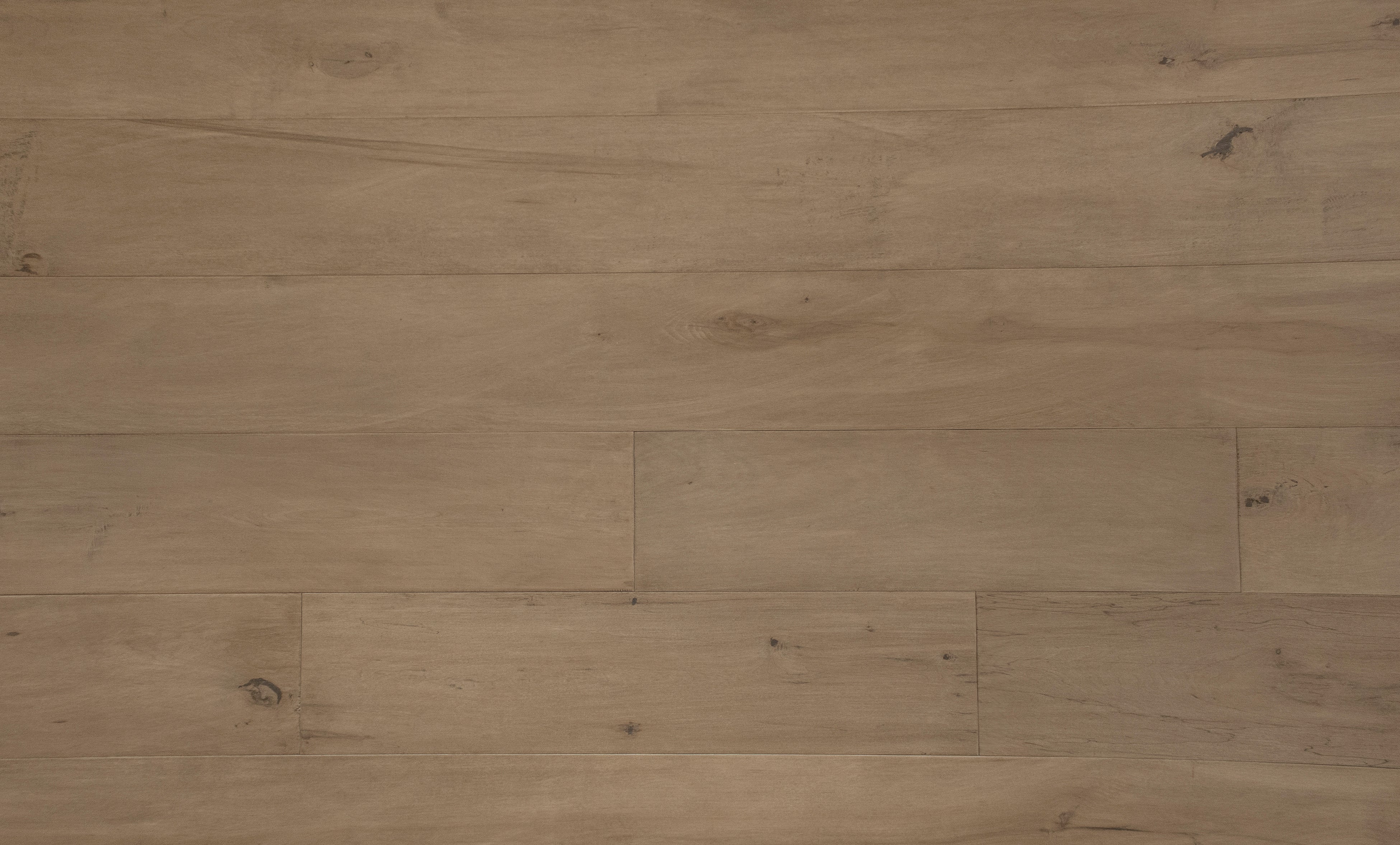 Grandeur Divine Hard Maple Aries 7 1/2" x 3/4" (18mm)