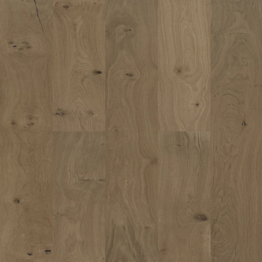 BiYork Nouveau 8 European Oak Wire Brushed Messier 8 1/2" x 3/4" (18 mm)