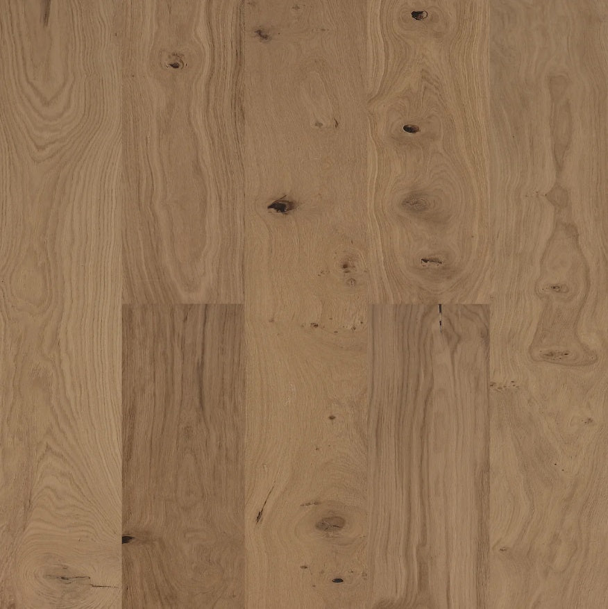 BiYork Nouveau 8 European Oak Wire Brushed Triangulum 8 1/2" x 3/4" (18 mm)