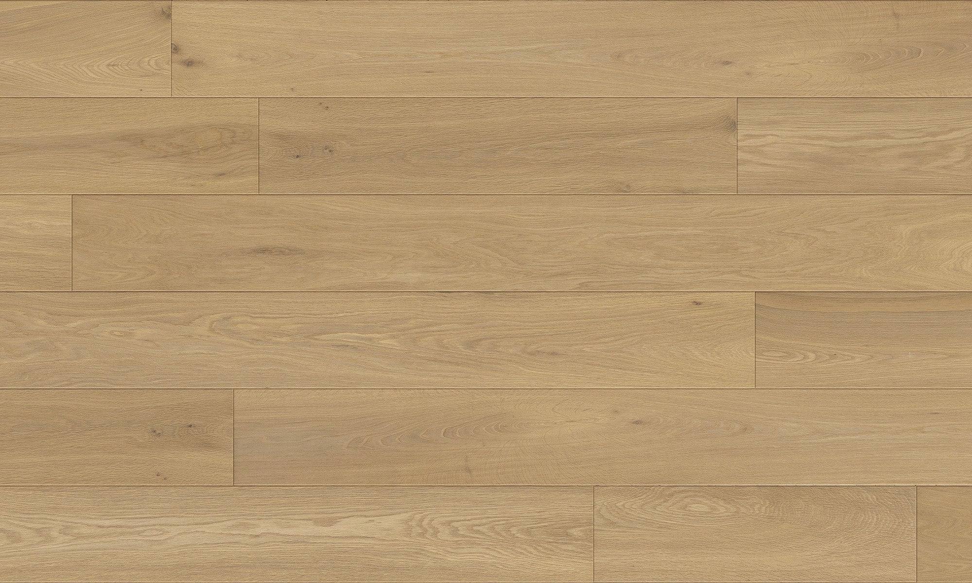 Fuzion Crema Frosted Almond 6.5" x 3/4"(18mm) x RL - 24", 40", 71"