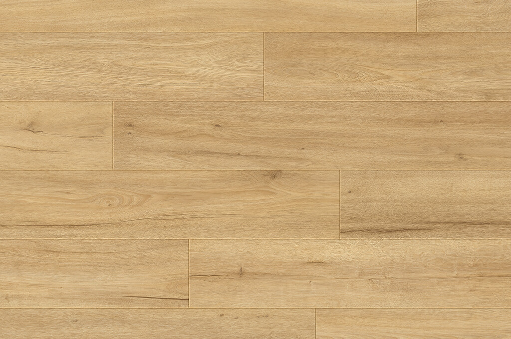 TORLYS Country Asheville Oak 7 9/16" x 49 5/8" x 5/16" (8mm)