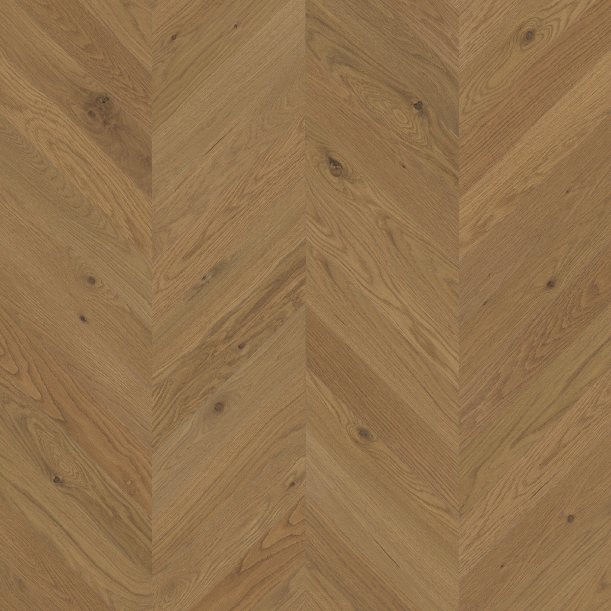 Mirage Muse Collection White Oak Amelia Brushed Chevron Character 5" x 3/4" TruBalance